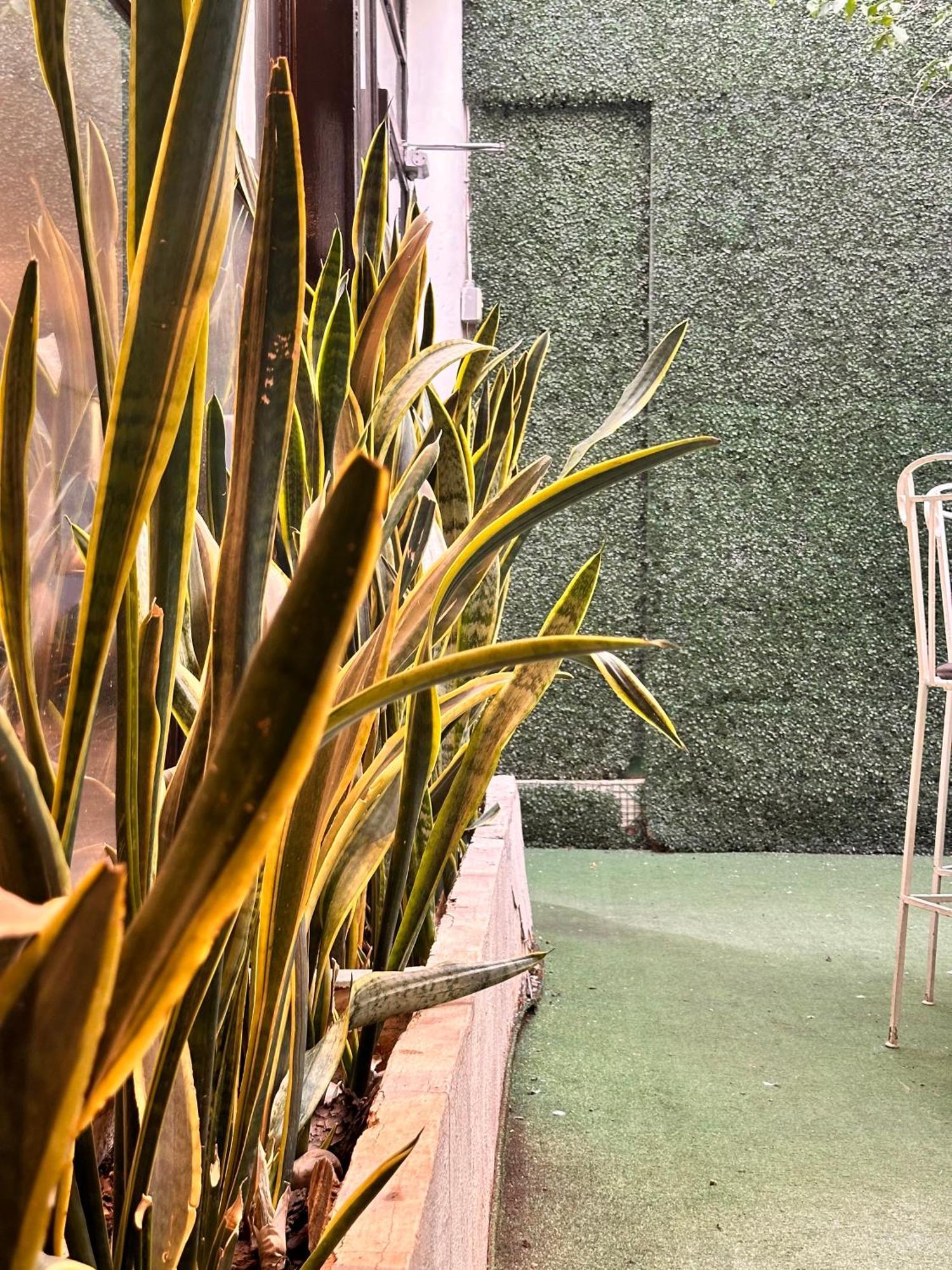 Fresnillo de González Echeverría Hotel Del Fresno מראה חיצוני תמונה